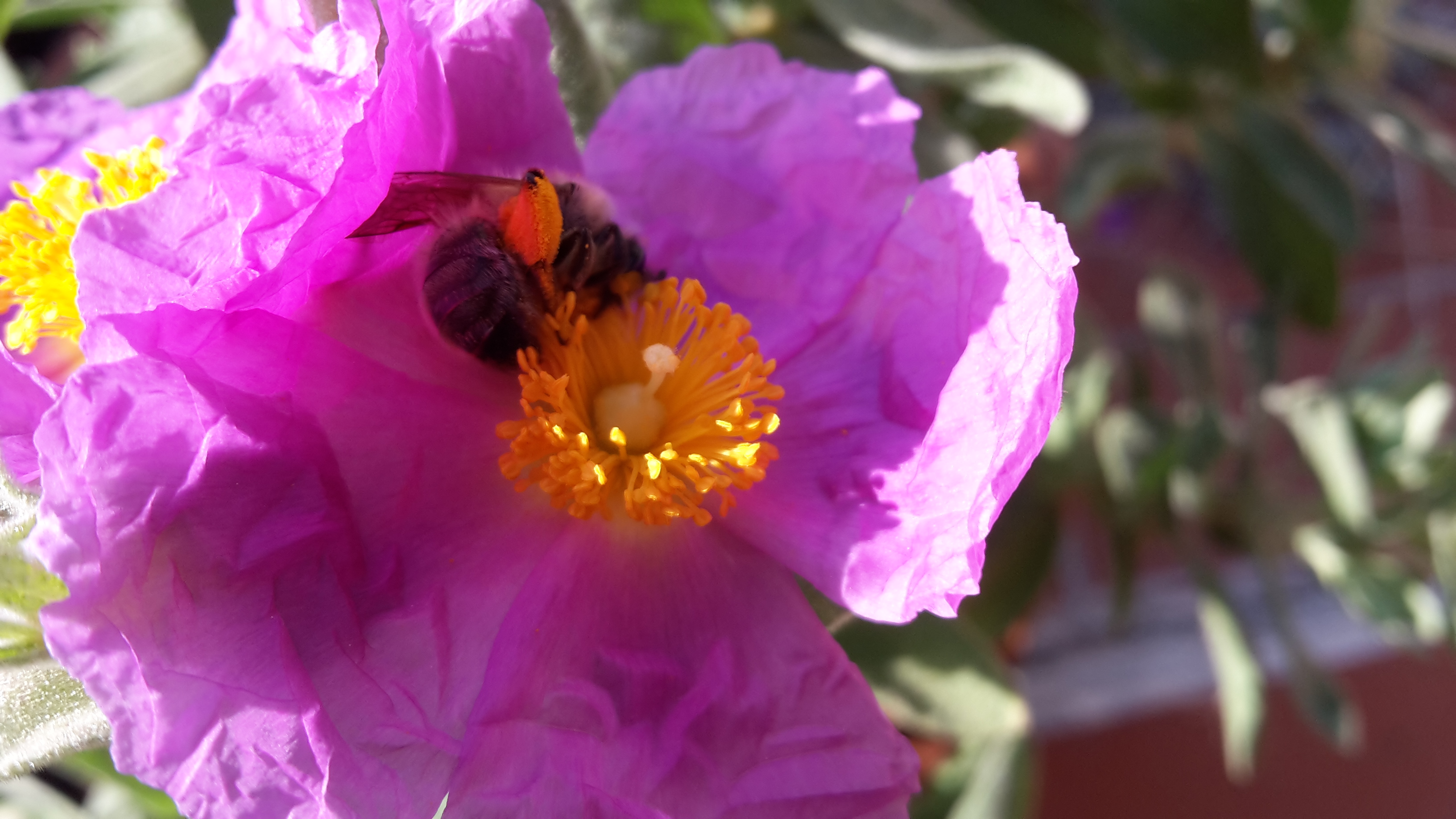 Annexe 20200407_094019.jpg