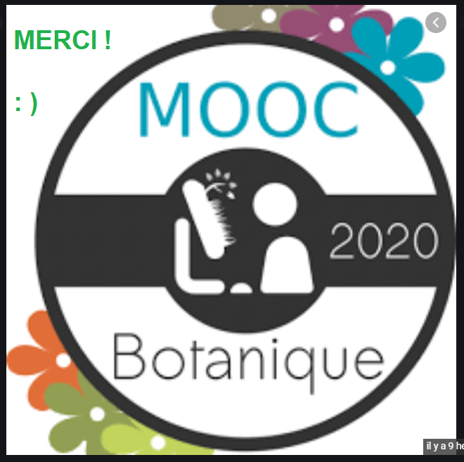 Annexe Mooc.png