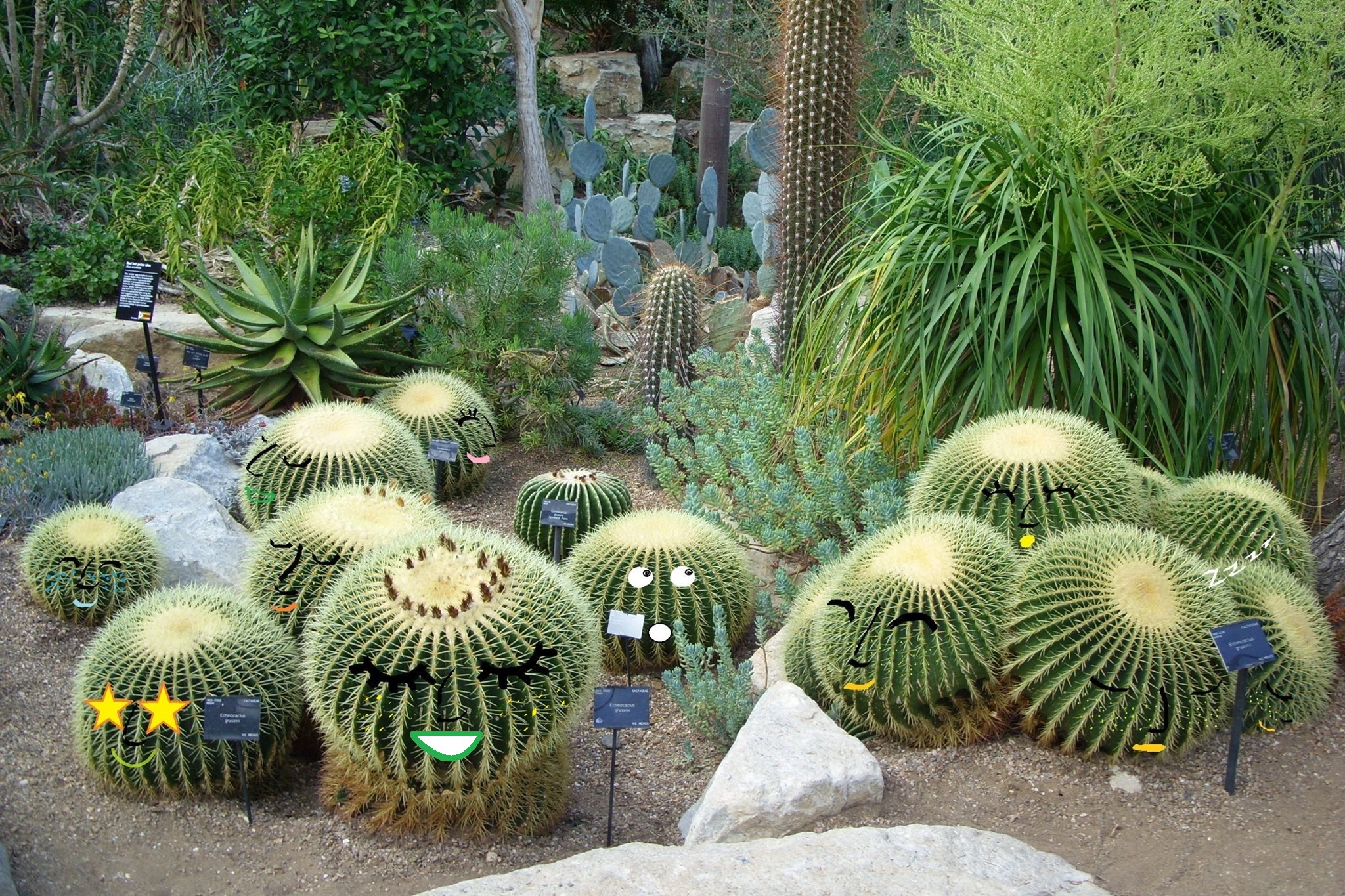 Annexe ©Laura Delprat.jpg