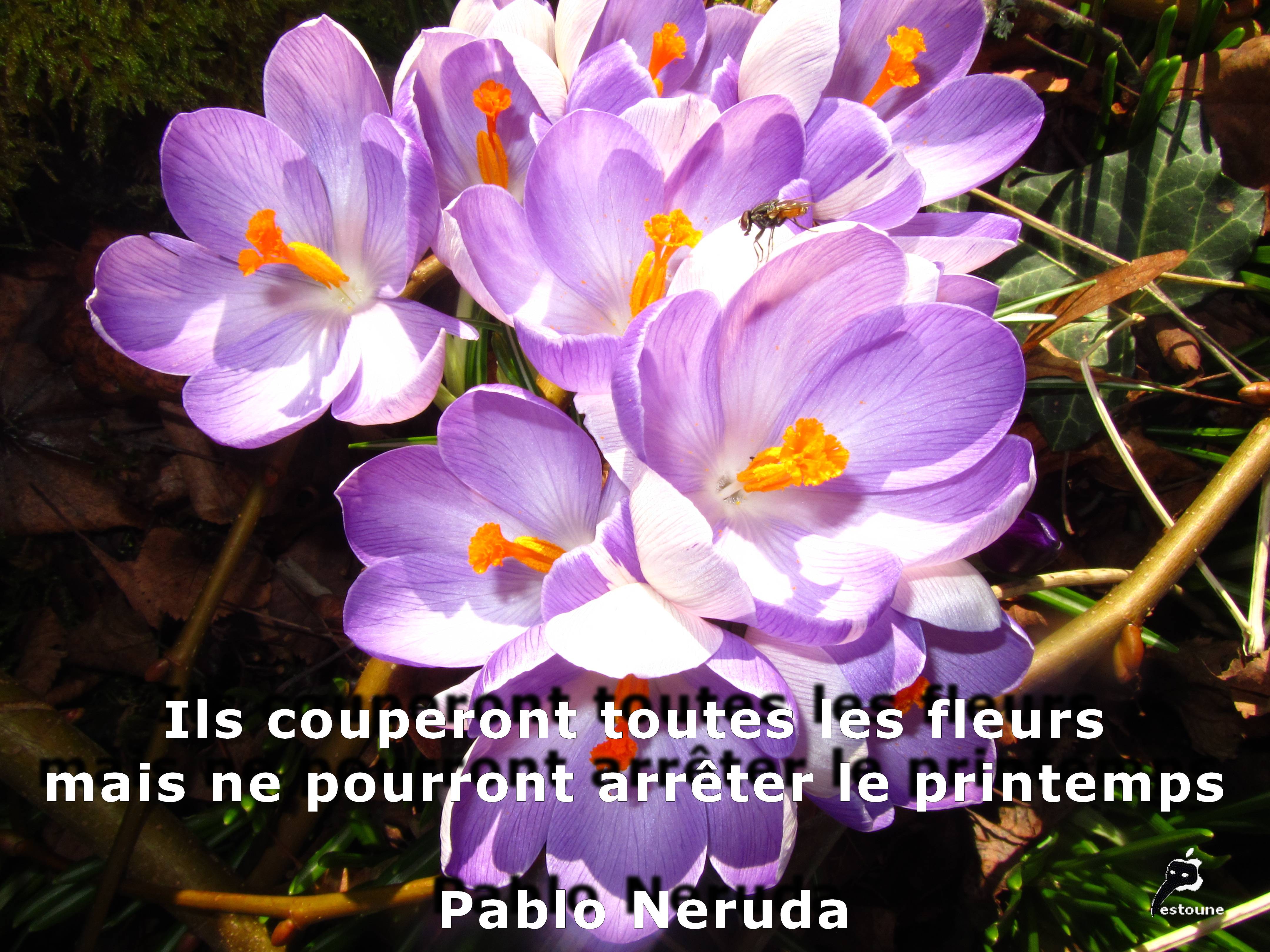 Annexe httppestoune.kazeo.comcitations.jpg