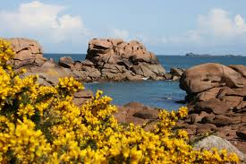 Annexe téléchargement.jpg