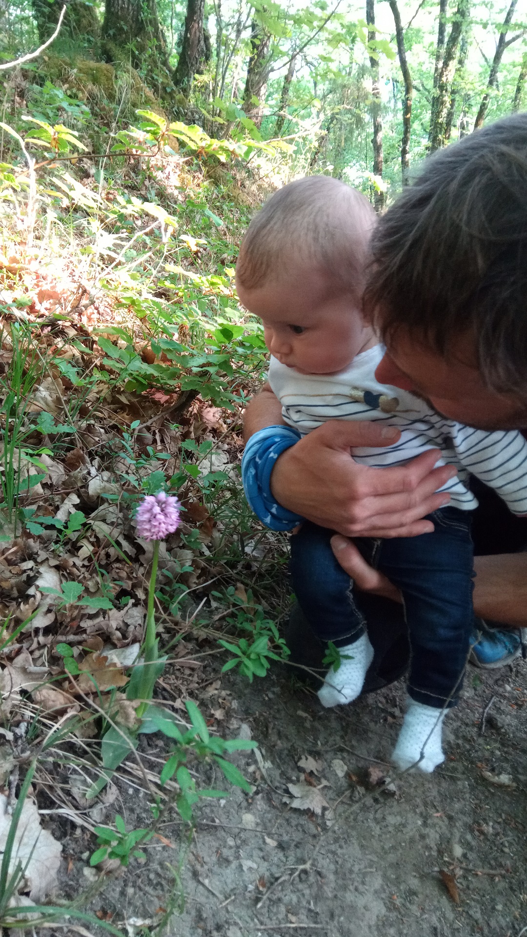 Annexe IMG_20200424_190109.jpg