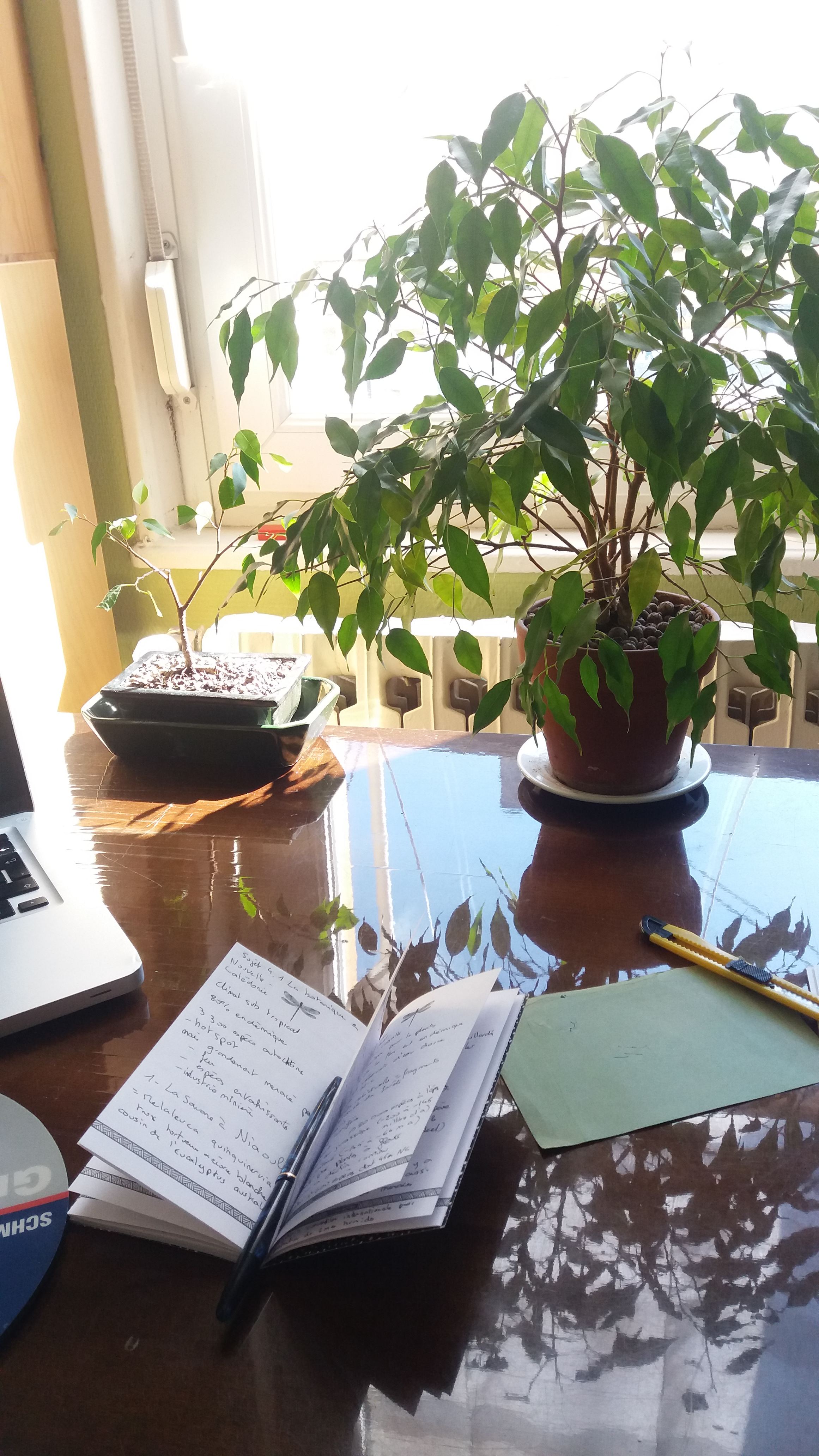 Annexe 20200506_finmooc.jpg