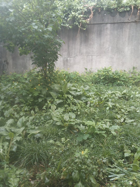 Annexe 95120062_834457663732179_8851188884155924480_n.jpg