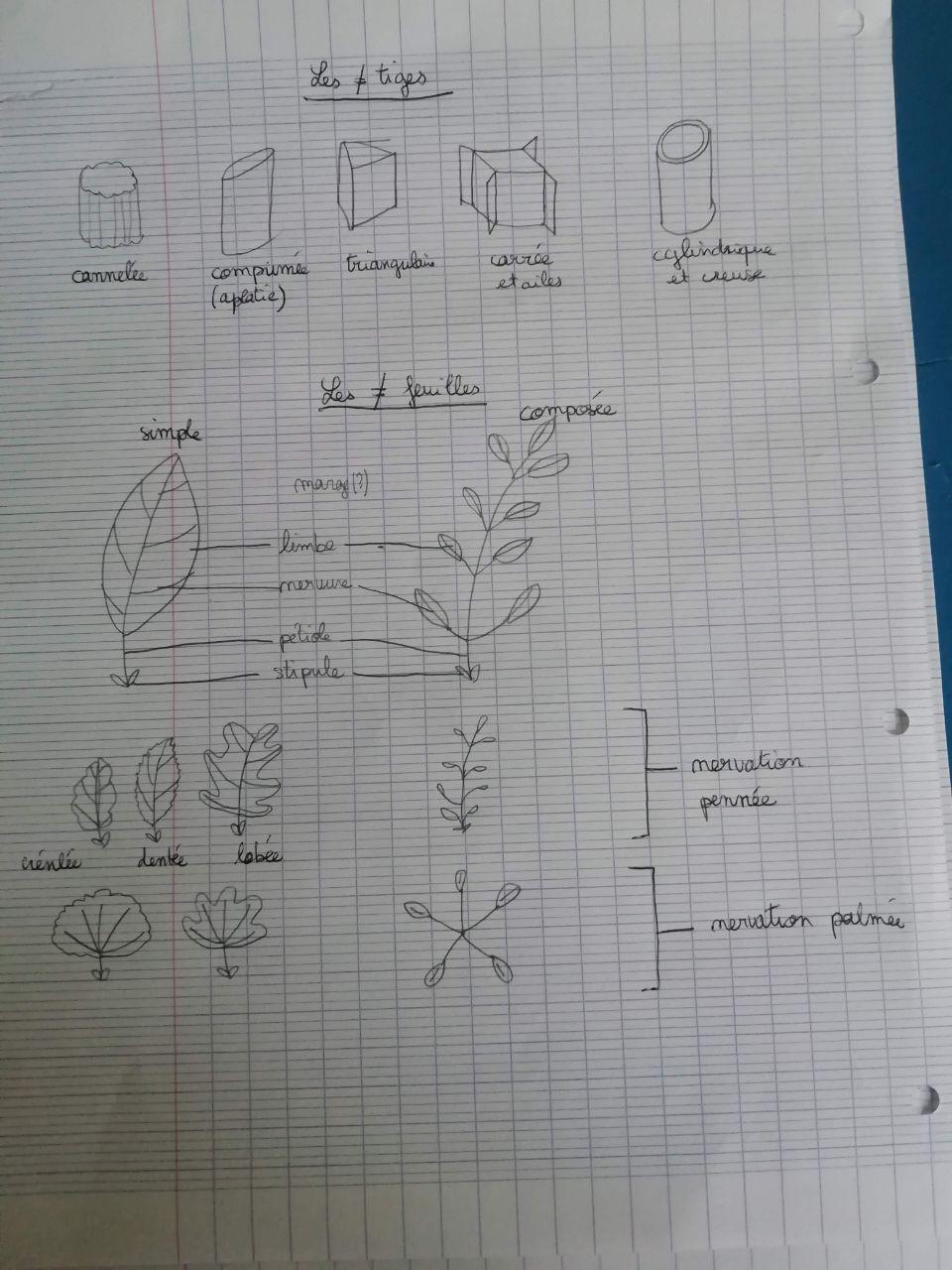 Annexe photo_2020-05-07_18-30-27.jpg