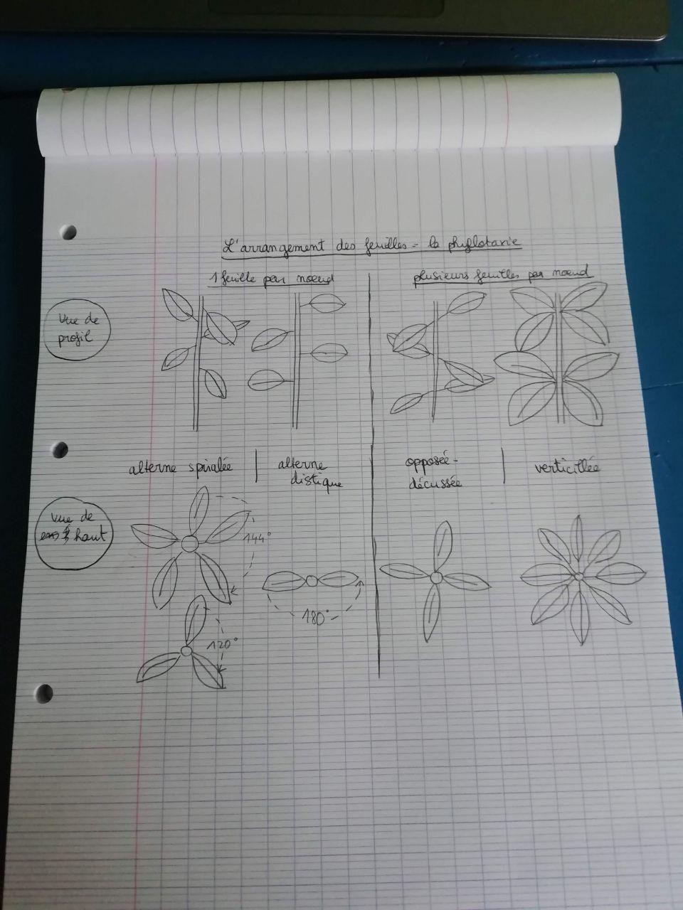 Annexe photo_2020-05-07_18-30-33.jpg