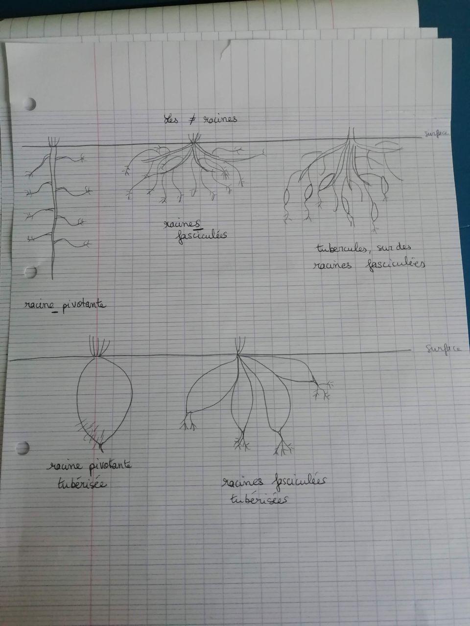 Annexe photo_2020-05-07_18-30-40.jpg