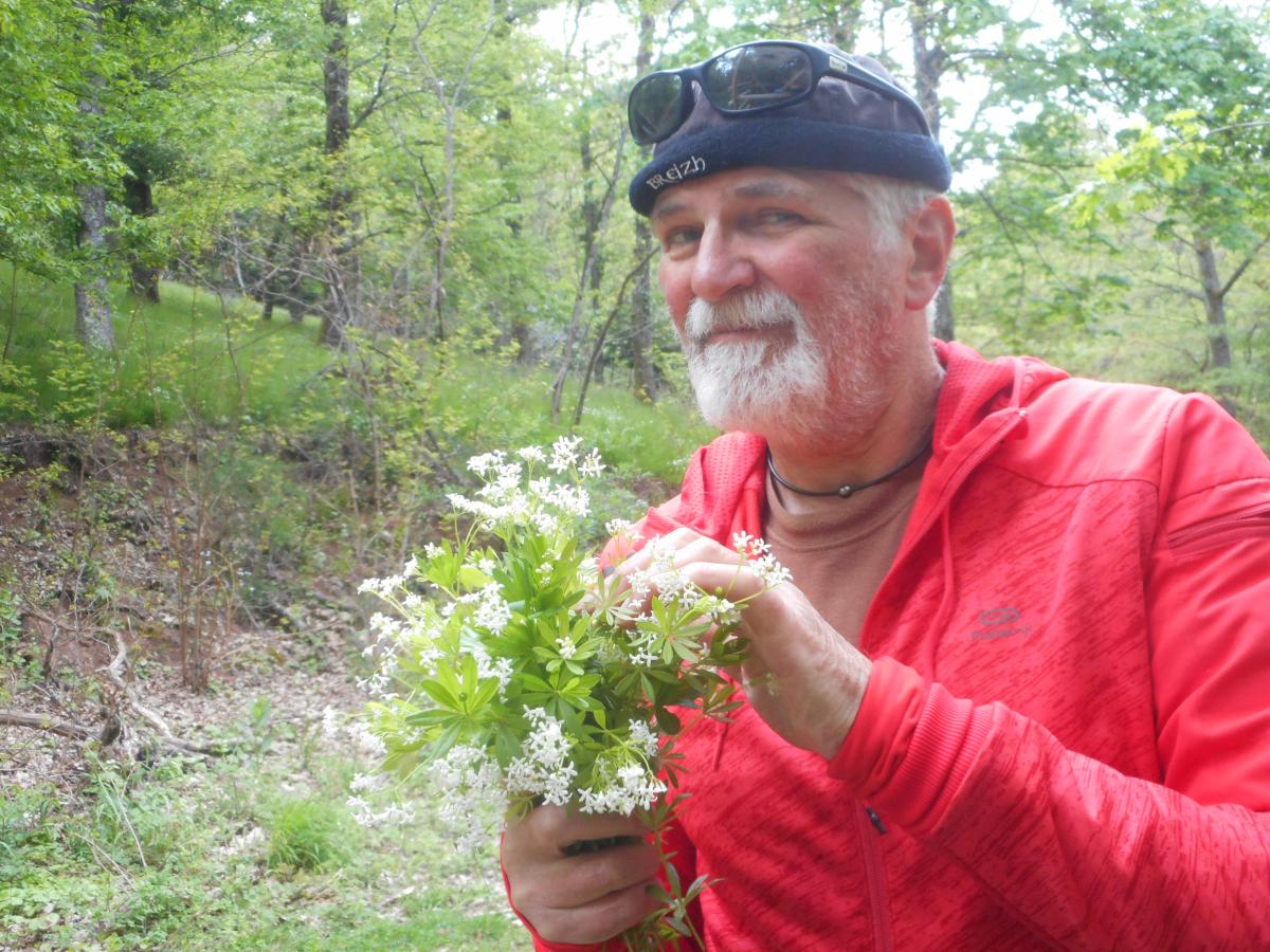 Bouquet de l'aspérule odorante