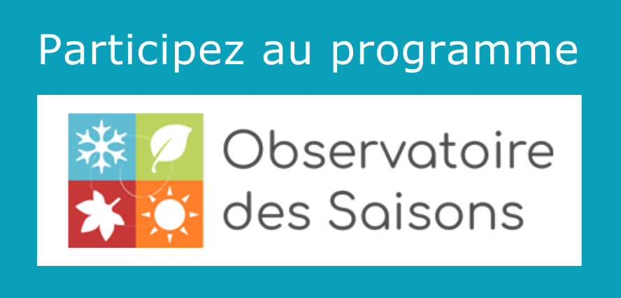 Accéder au site de sauvages de ma rue