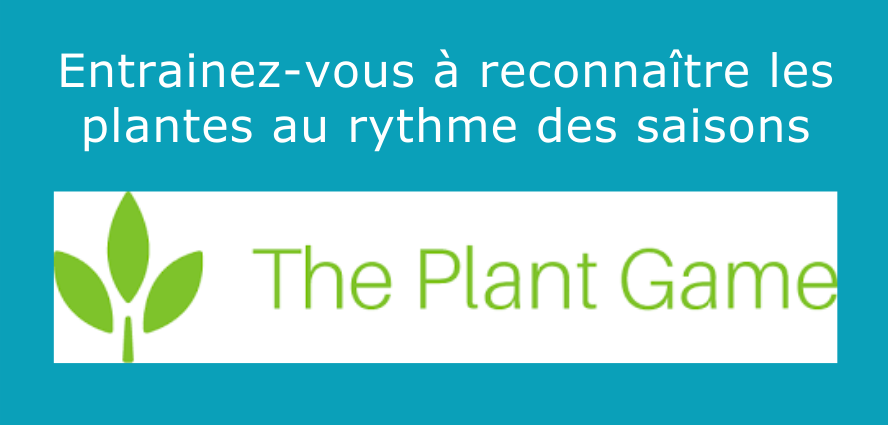Aller sur l'entrainement The Plant Game