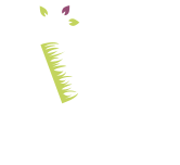 picto-plateforme-telaformation