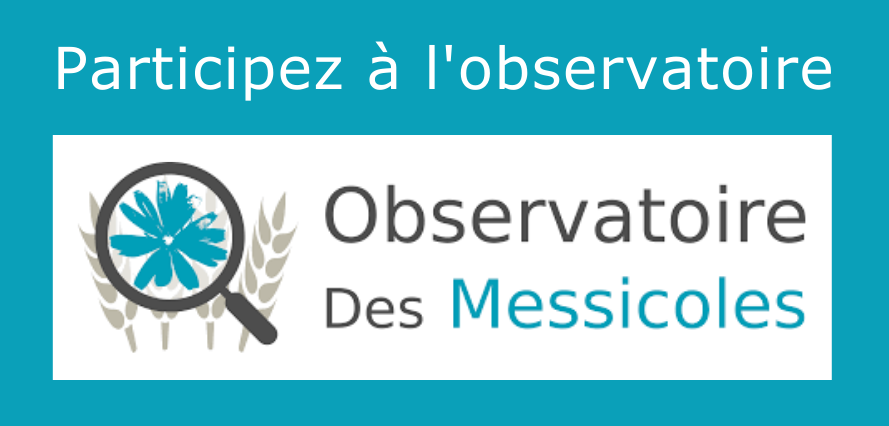 Accéder au site de l'observatoire des messicoles