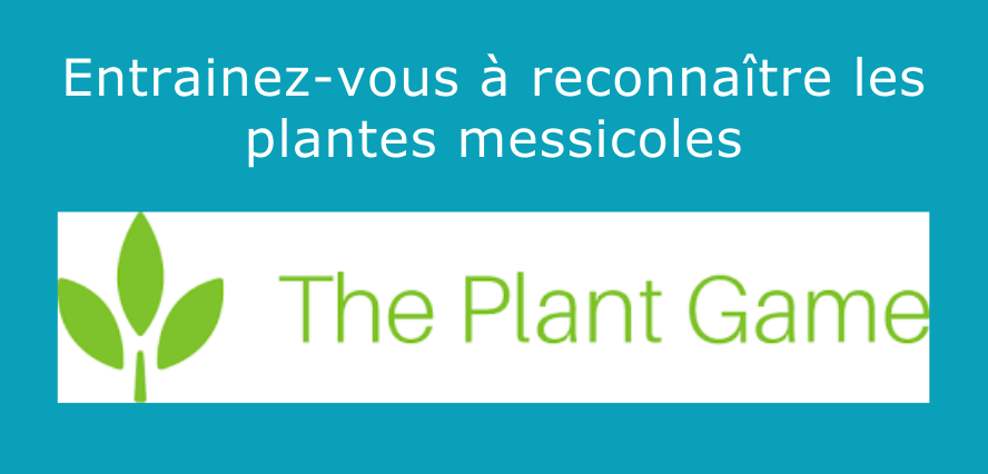 Aller sur l'entrainement The Plant Game