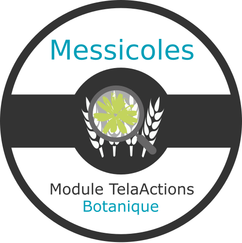badgemessicoles