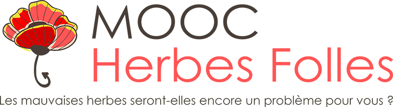 logo_mooc_hf