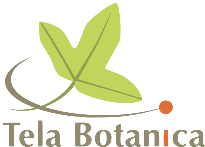 logo_telabotanica