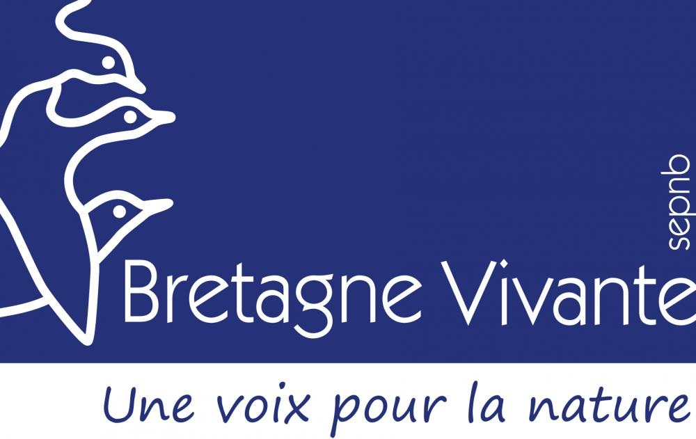 BV